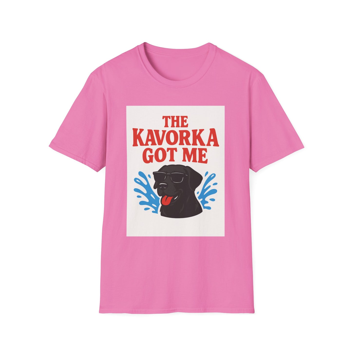 BS WETWEAR KAVORKA STRUCK: I NEVER STOOD A CHANCE T-SHIRT