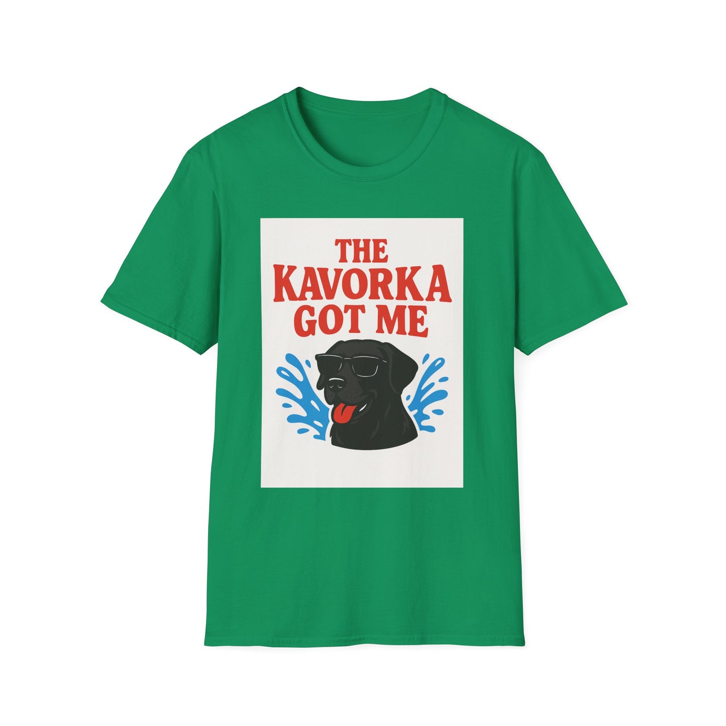 BS WETWEAR KAVORKA STRUCK: I NEVER STOOD A CHANCE T-SHIRT