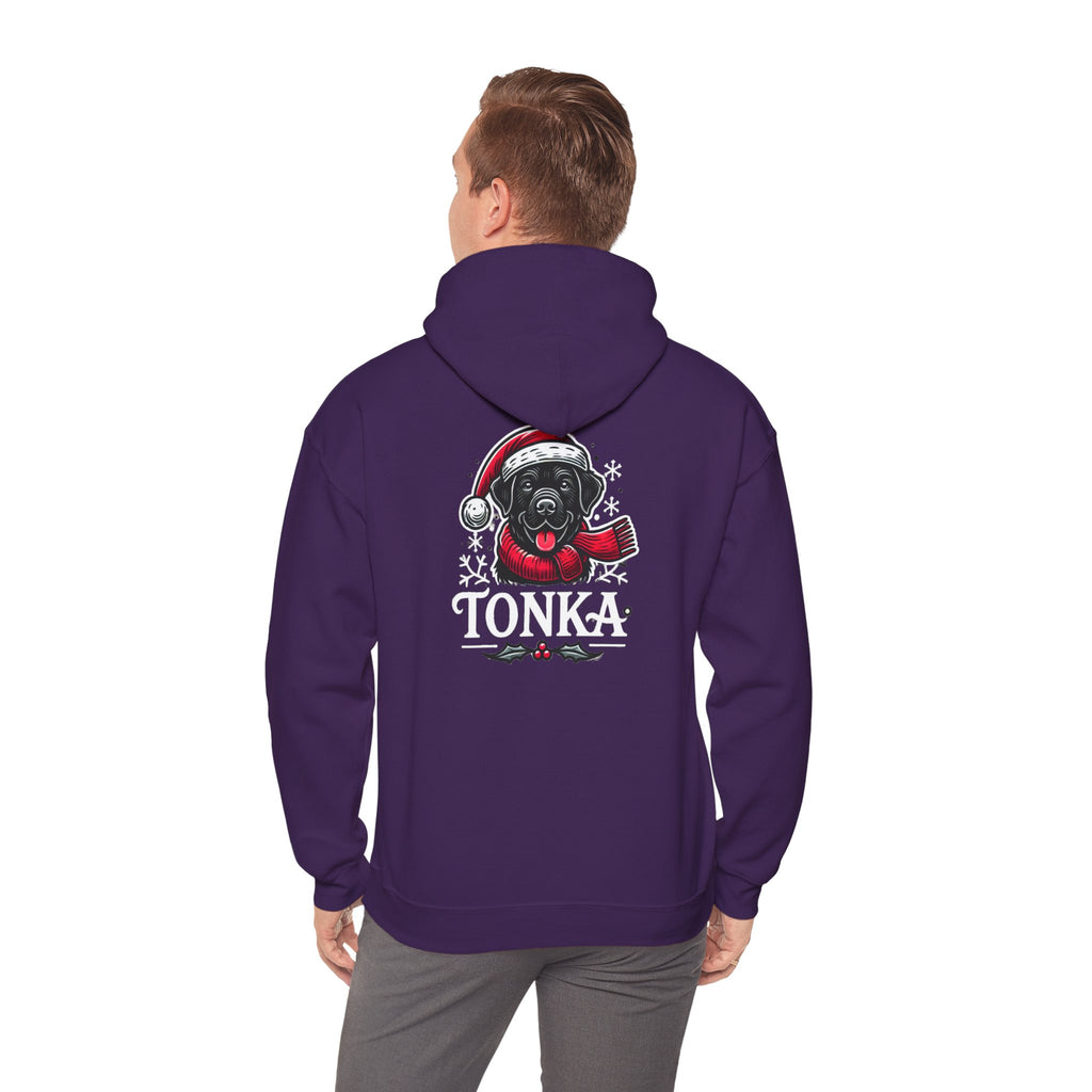 BS WETWEAR CHRISTMAS TONKA HOODIE