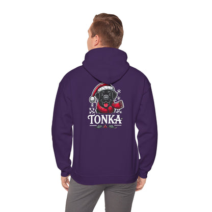 BS WETWEAR CHRISTMAS TONKA HOODIE