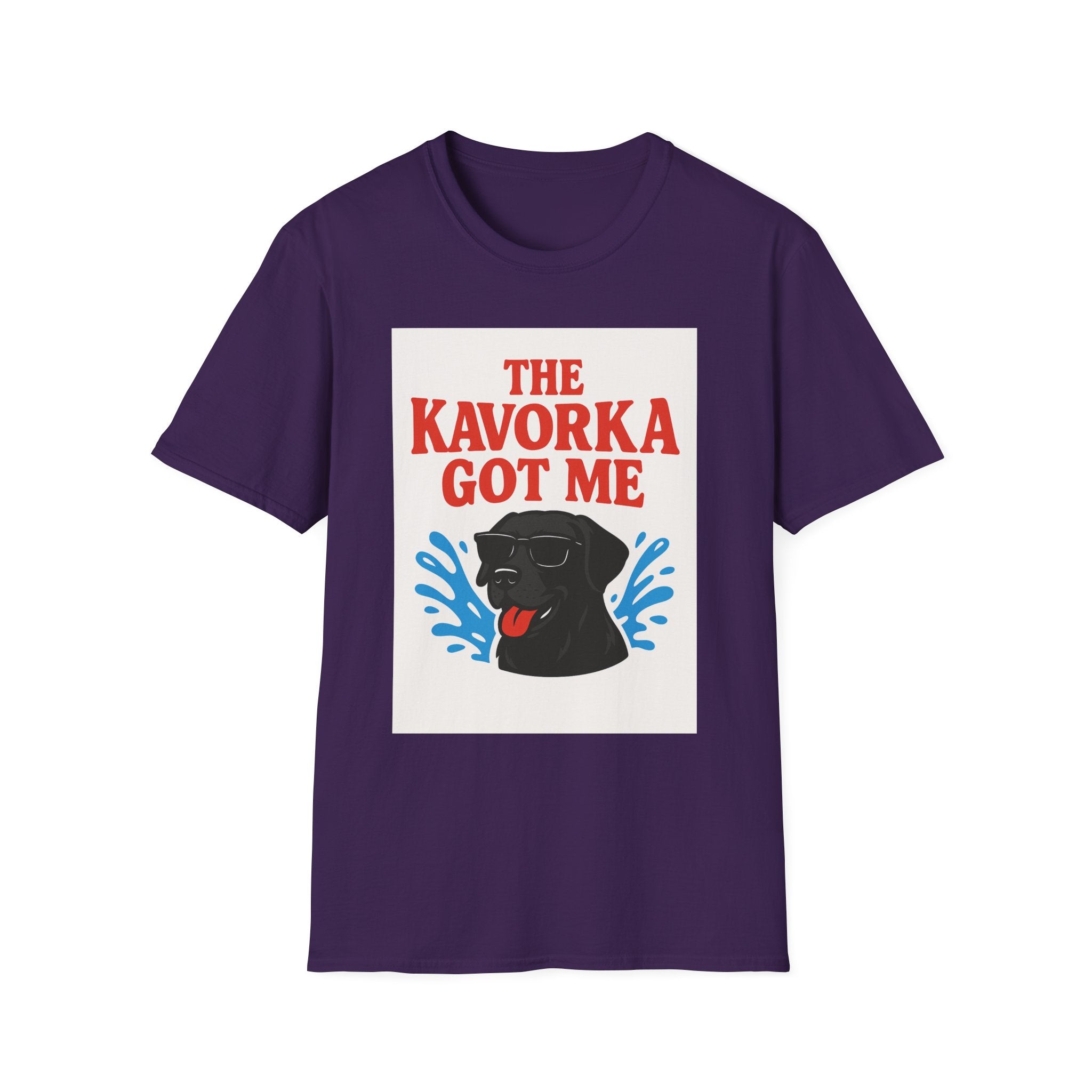 BS WETWEAR KAVORKA STRUCK: I NEVER STOOD A CHANCE T-SHIRT