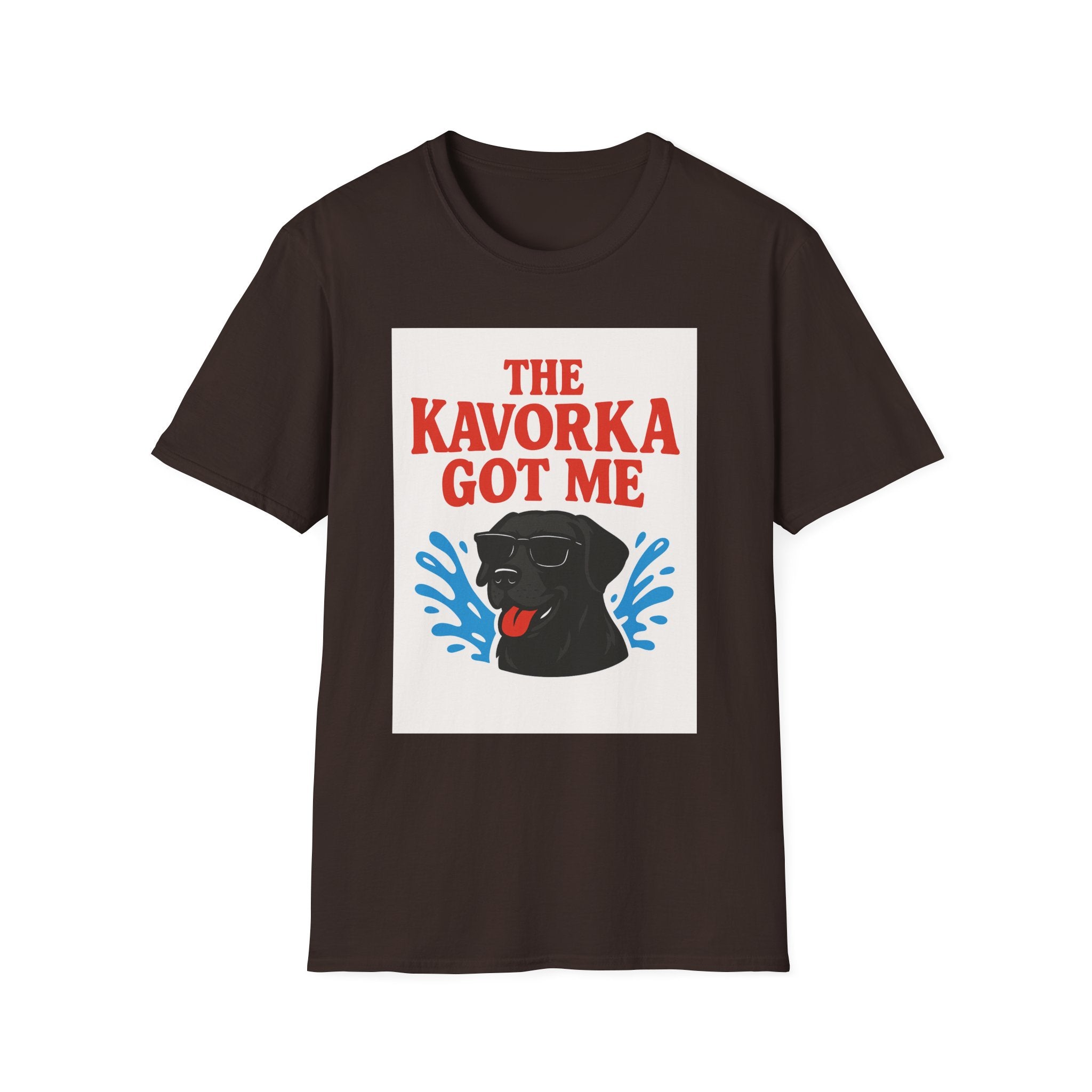 BS WETWEAR KAVORKA STRUCK: I NEVER STOOD A CHANCE T-SHIRT