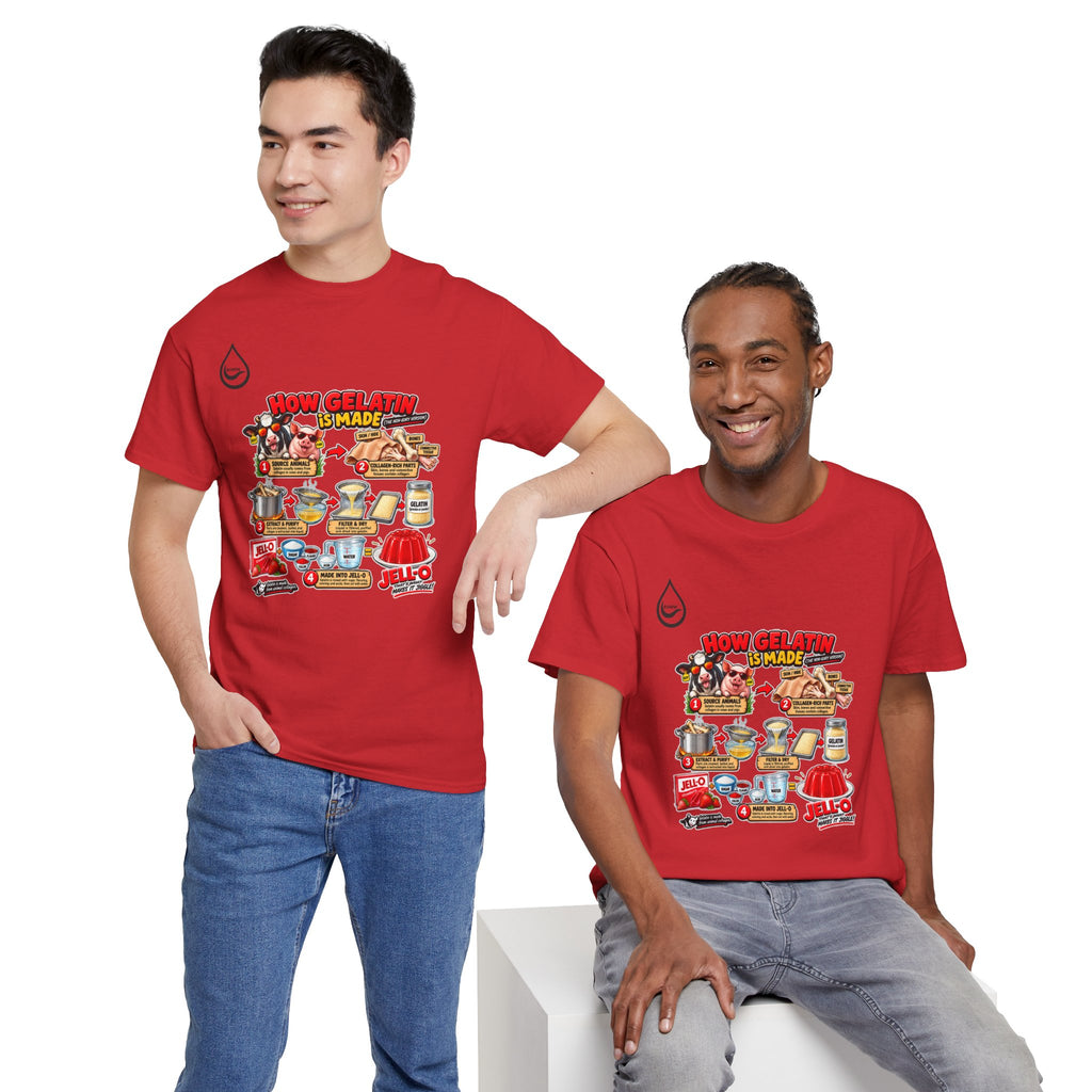 BS WETWEAR GELATIN COMES FROM WHAT T-SHIRT