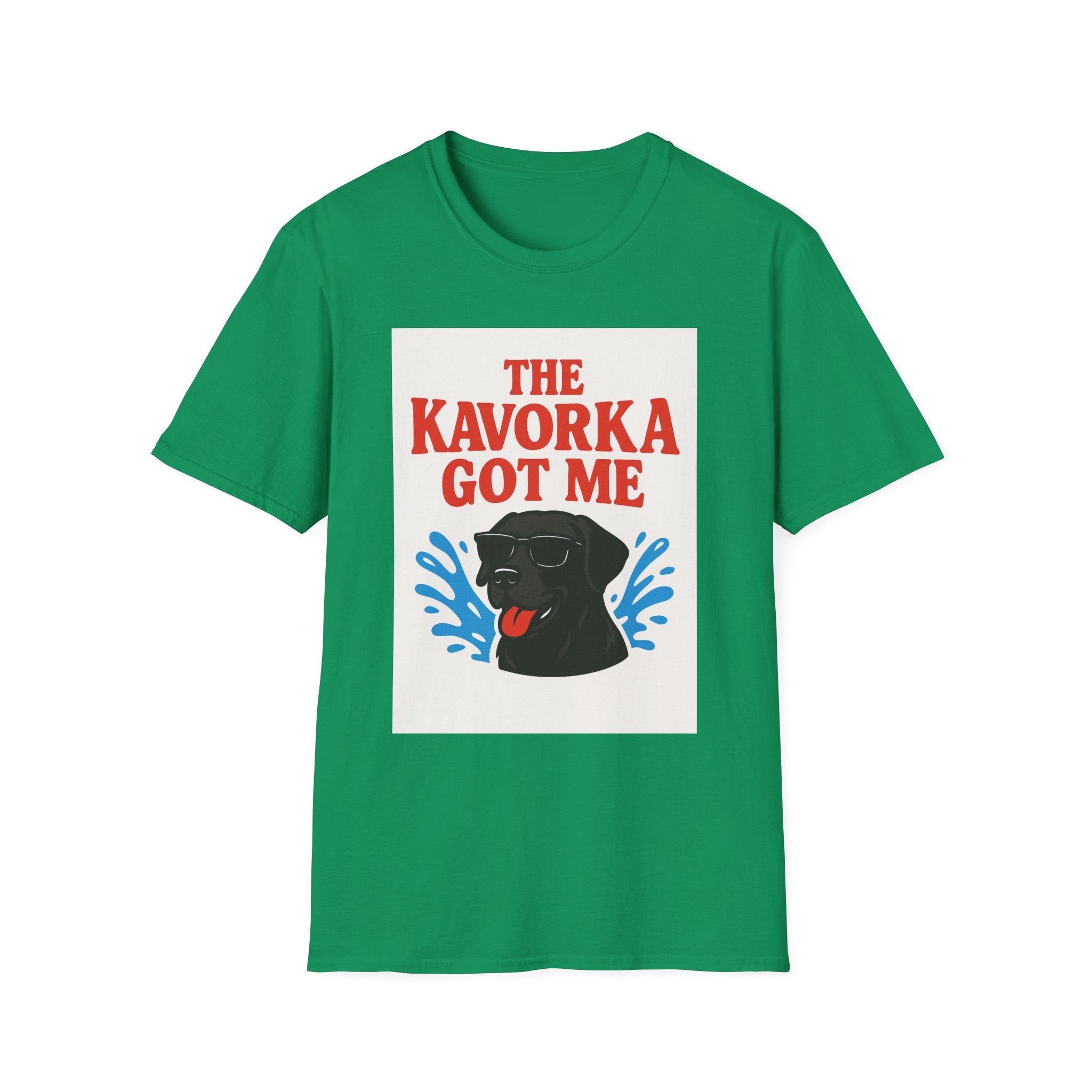 BS WETWEAR KAVORKA STRUCK: I NEVER STOOD A CHANCE T-SHIRT