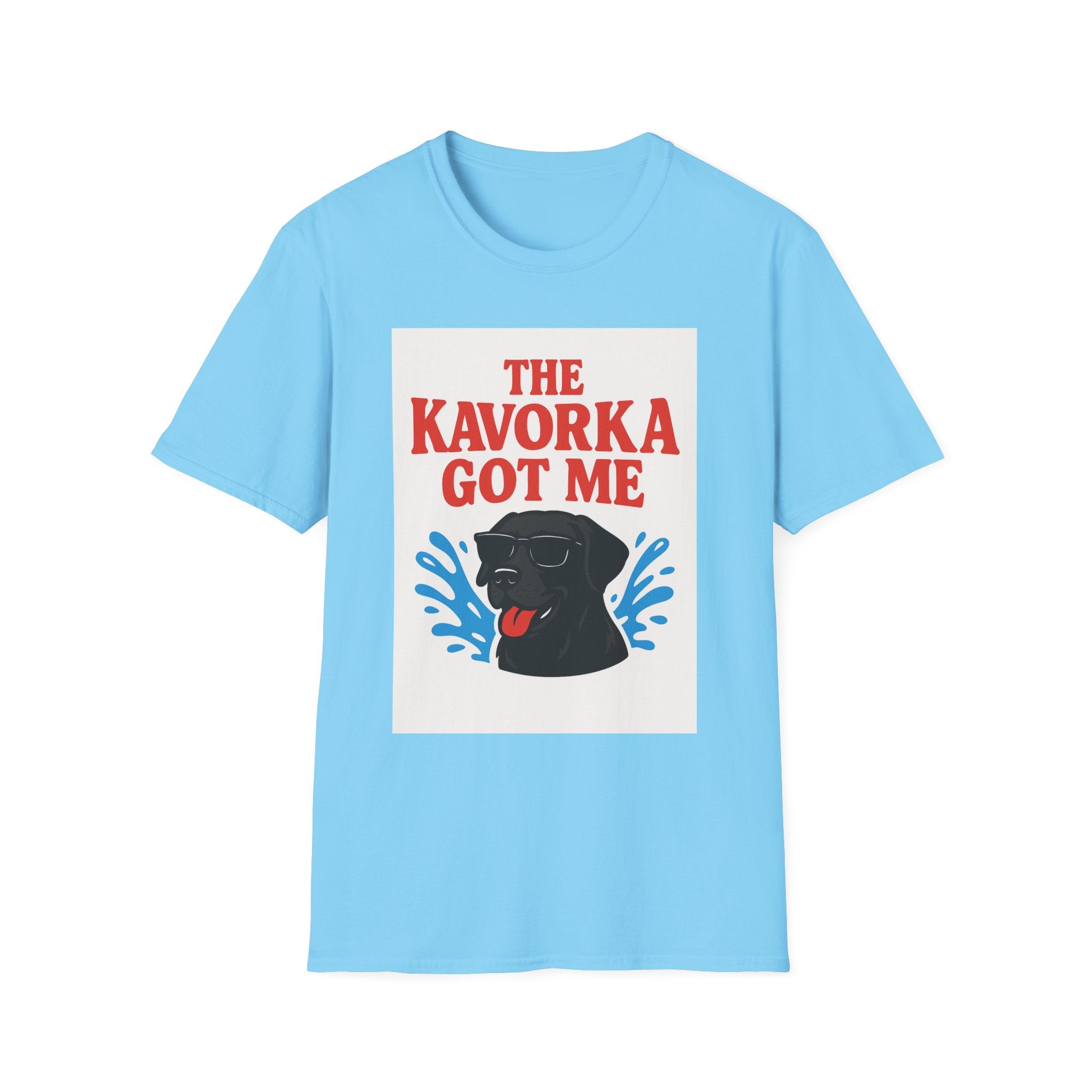 BS WETWEAR KAVORKA STRUCK: I NEVER STOOD A CHANCE T-SHIRT