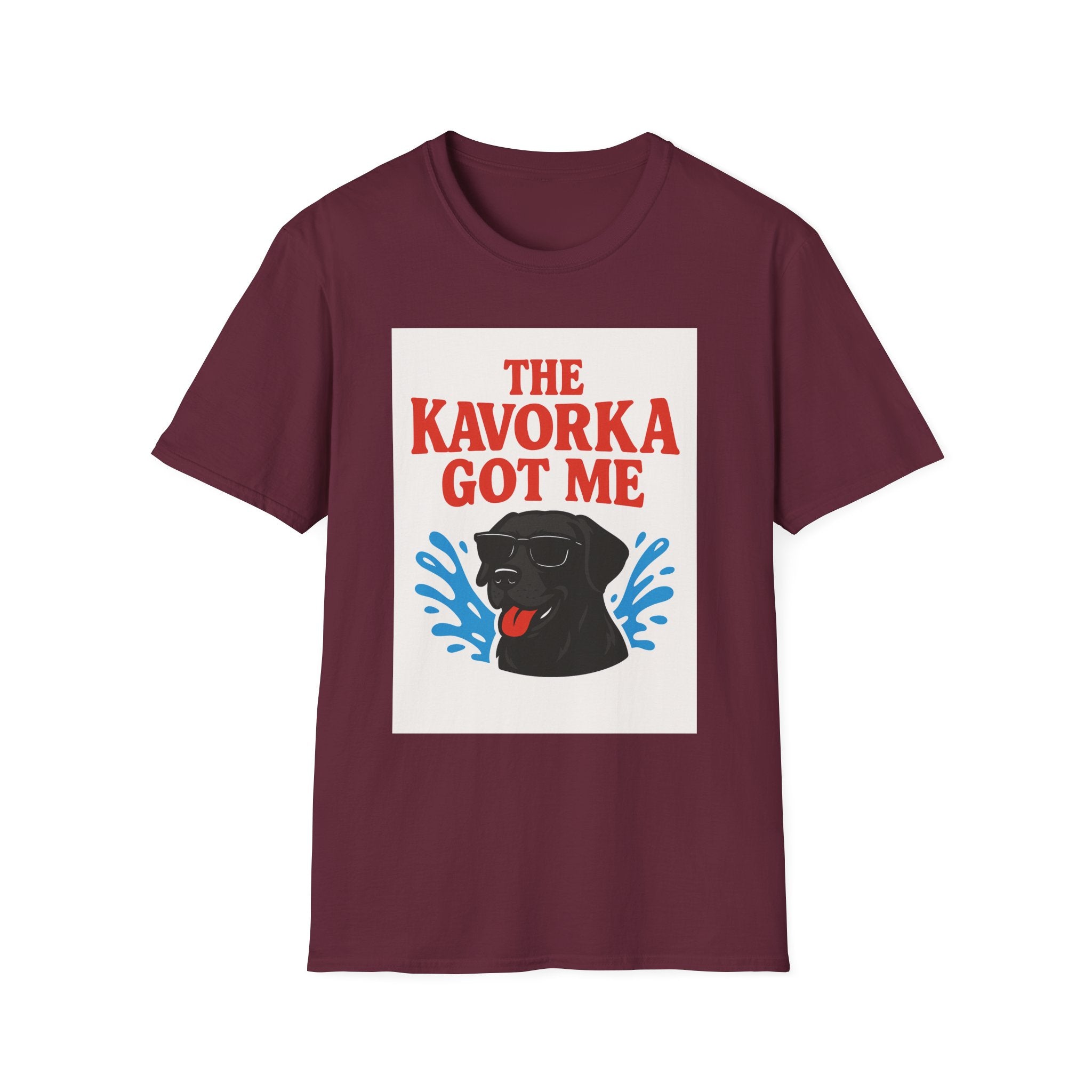 BS WETWEAR KAVORKA STRUCK: I NEVER STOOD A CHANCE T-SHIRT