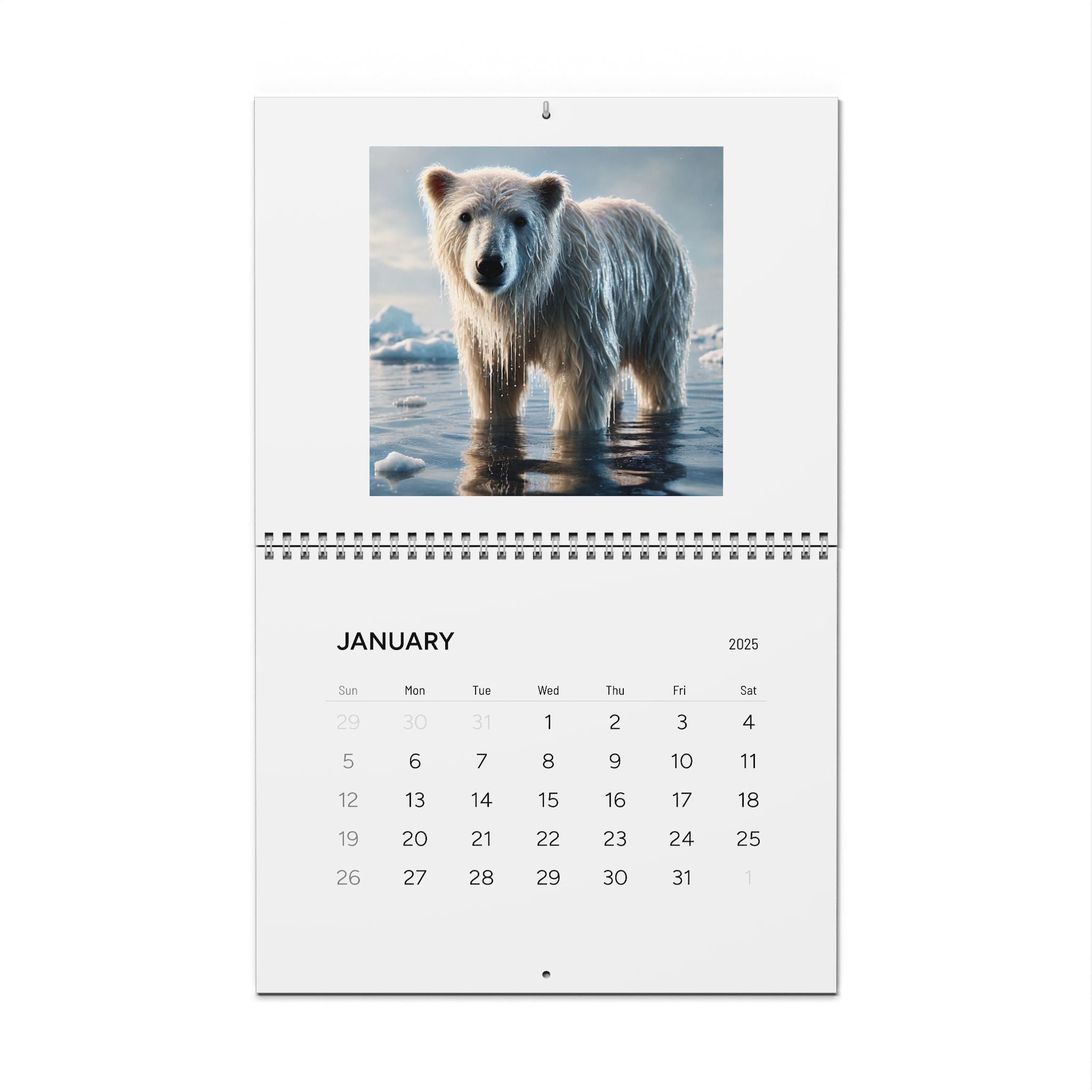 BS WETWEAR 2025 WALL CALENDAR