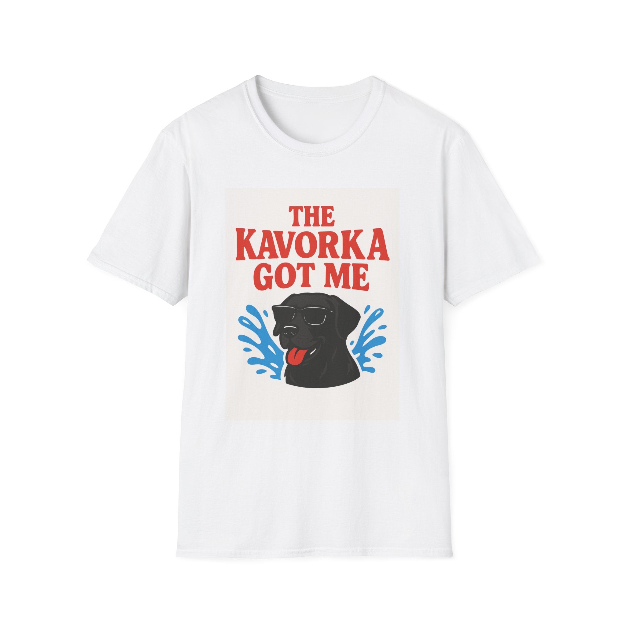 BS WETWEAR KAVORKA STRUCK: I NEVER STOOD A CHANCE T-SHIRT