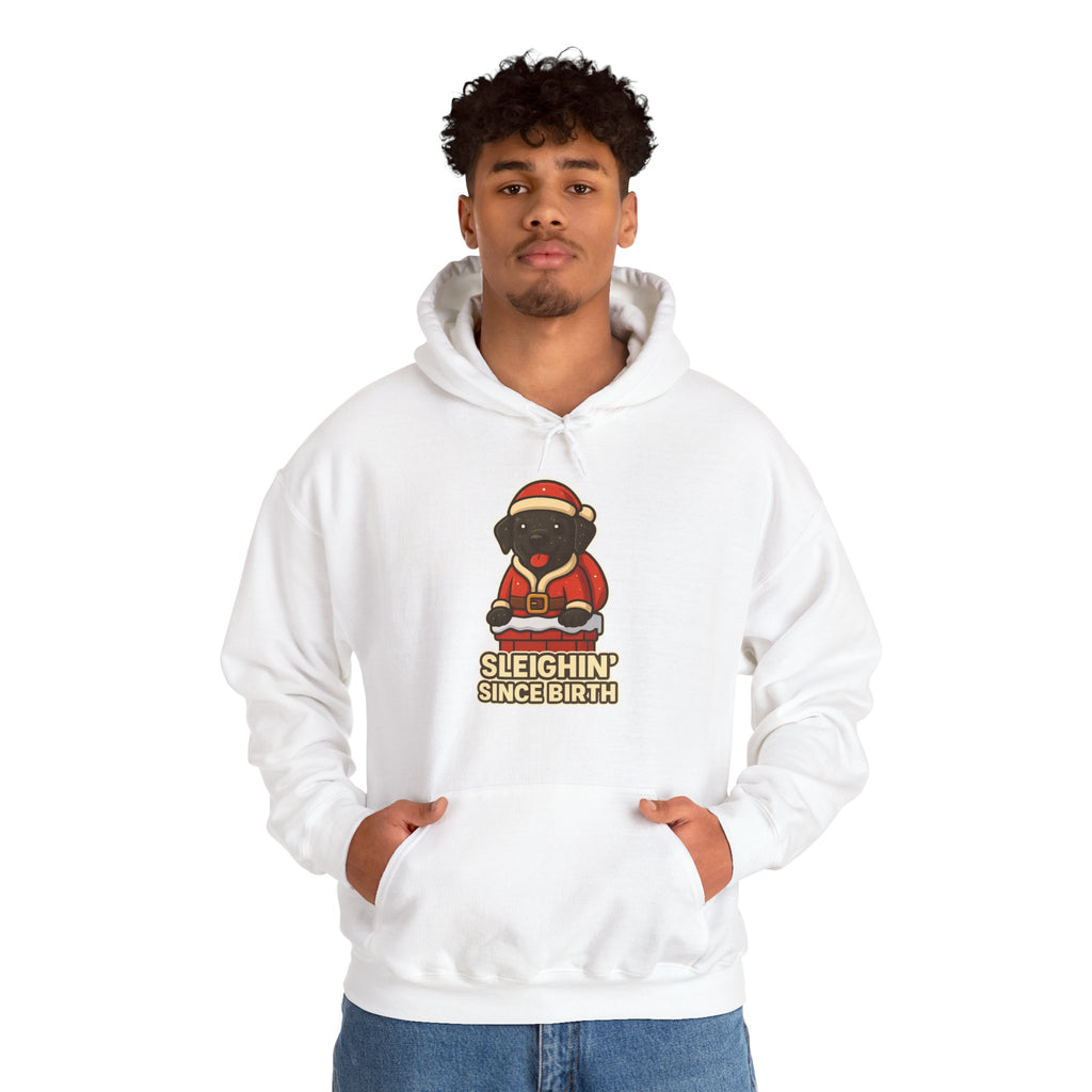 BS WETWEAR TONKA SLEIGHS AGAIN  HOOD